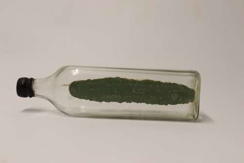 Amazing Quality Model Ship In A Bottle, Circa 1920