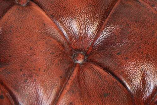 A Large English 19th C Carved Walnut Stool