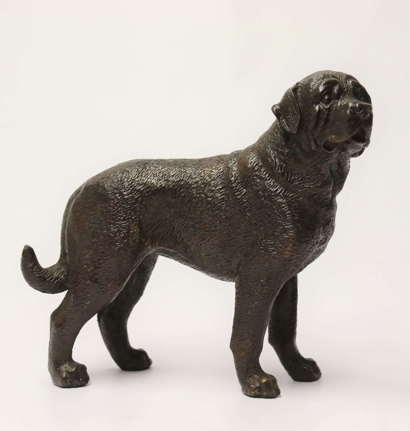 An early 20th century bronze study of a bullmastiff dog, circa 1930