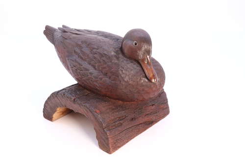 A Black Forest linden wood study of a perched mallard duck
