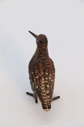 Franz Xavier Bergman Austrian cold painted study of a woodcock bird