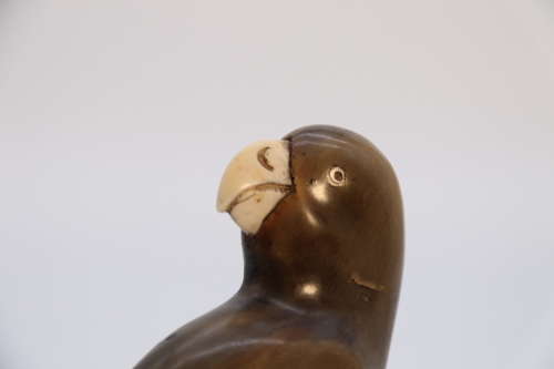 19th century pair of parrots carved from buffalo horn, Indian C 1890
