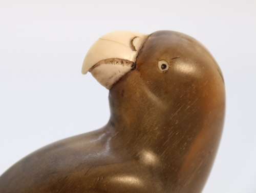 19th century pair of parrots carved from buffalo horn, Indian C 1890