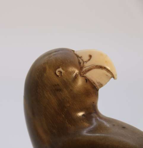 19th century pair of parrots carved from buffalo horn, Indian C 1890