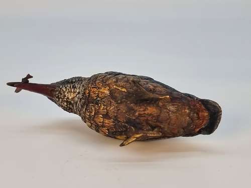 An Austrian bronze cold painted kingfisher circa 1910