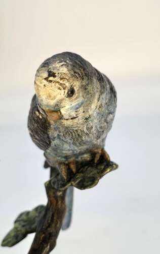 A pair of Austrian bronze cold painted budgerigars circa 1920
