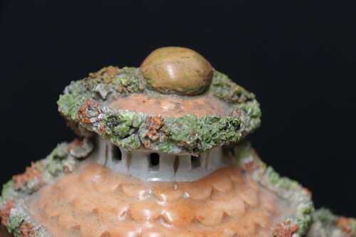 A Staffordshire pottery model of an English Cottage, circa 1860